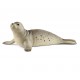 Foca - Schleich 14801